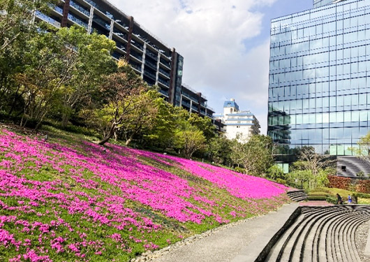 企業の外観