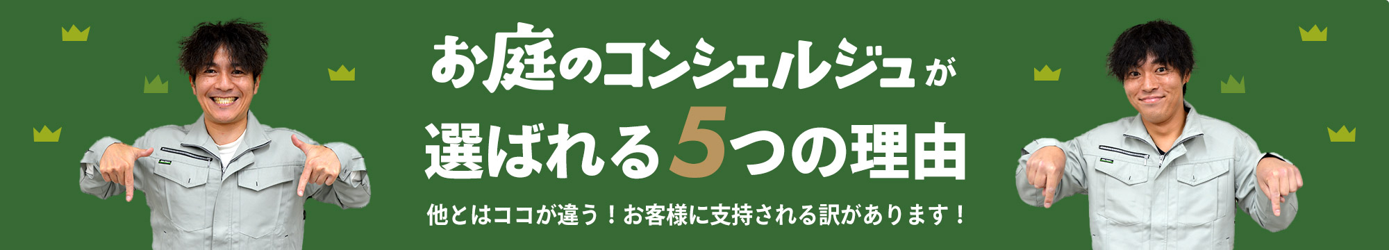 選ばれる理由